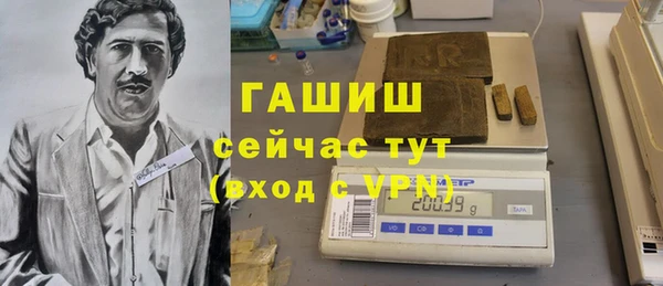 сатива Гусев
