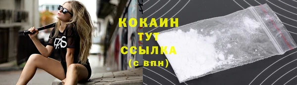 сатива Гусев