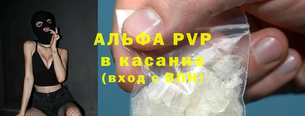 сатива Гусев