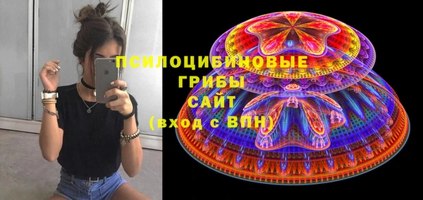 сатива Гусев