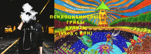 MESCALINE Гусиноозёрск