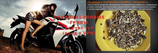 сатива Гусев