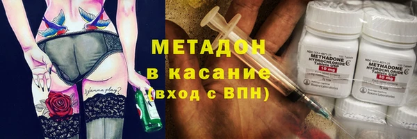 сатива Гусев