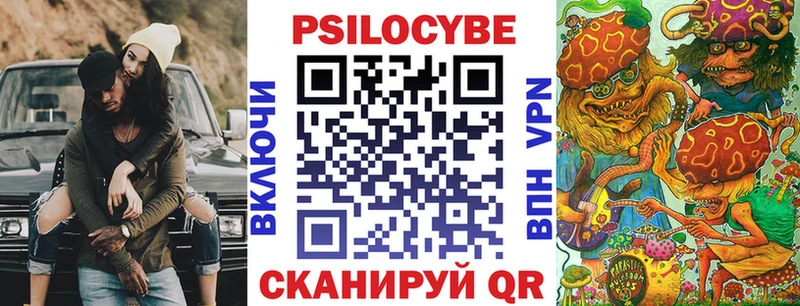 Купить где  Солнечногорск  Псилоцибиновые грибы Psilocybe 